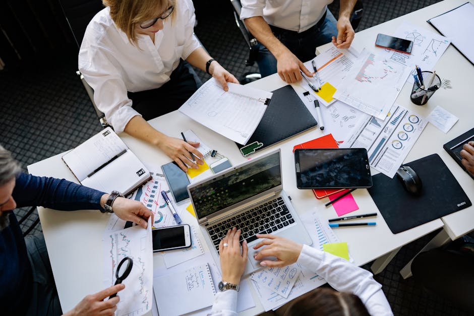 Content Organization System Interface